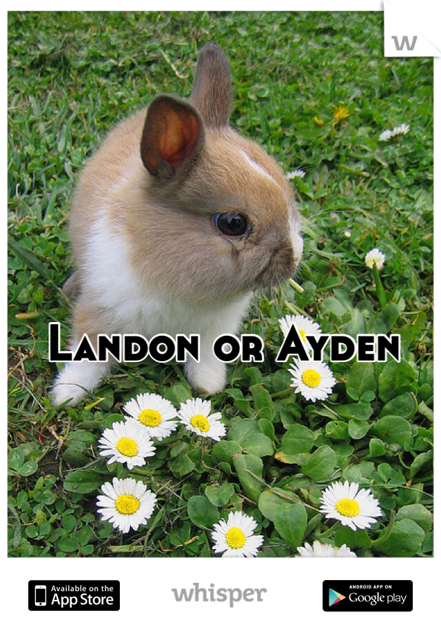 Landon or Ayden