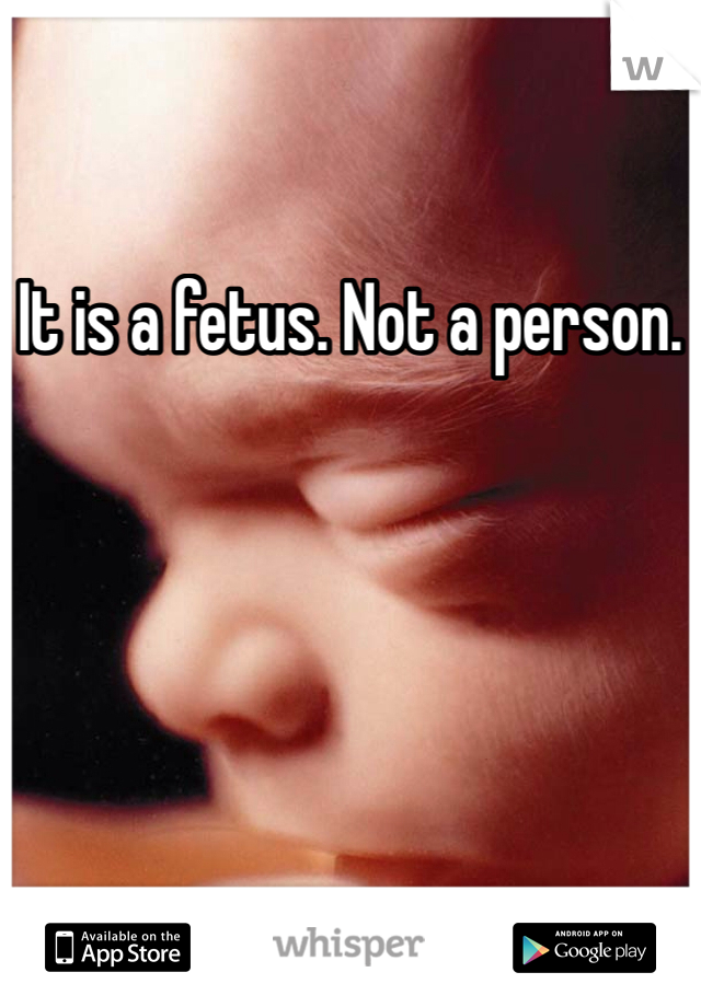 It is a fetus. Not a person.
