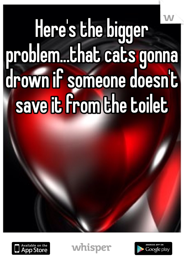 Here's the bigger problem...that cats gonna drown if someone doesn't save it from the toilet