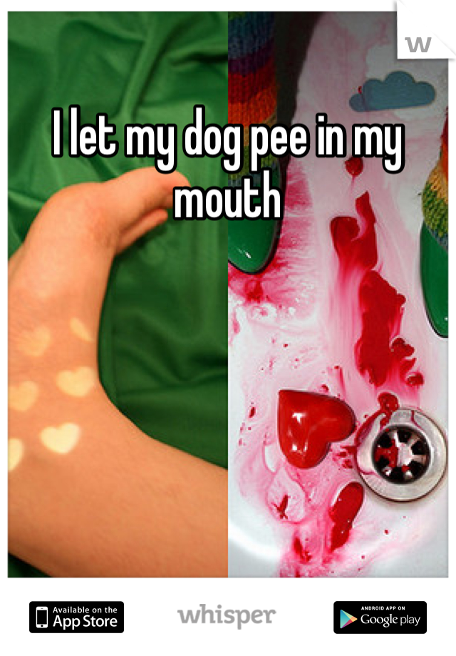 i-let-my-dog-pee-in-my-mouth