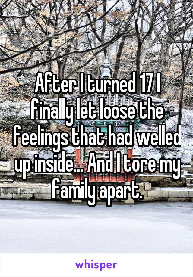 After I turned 17 I finally let loose the feelings that had welled up inside... And I tore my family apart.