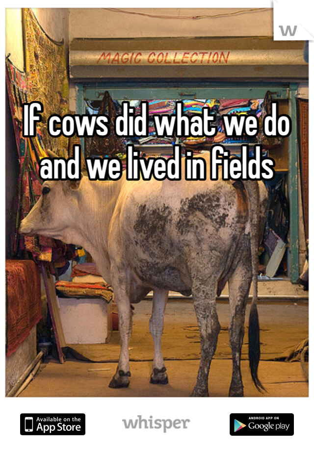 If cows did what we do and we lived in fields