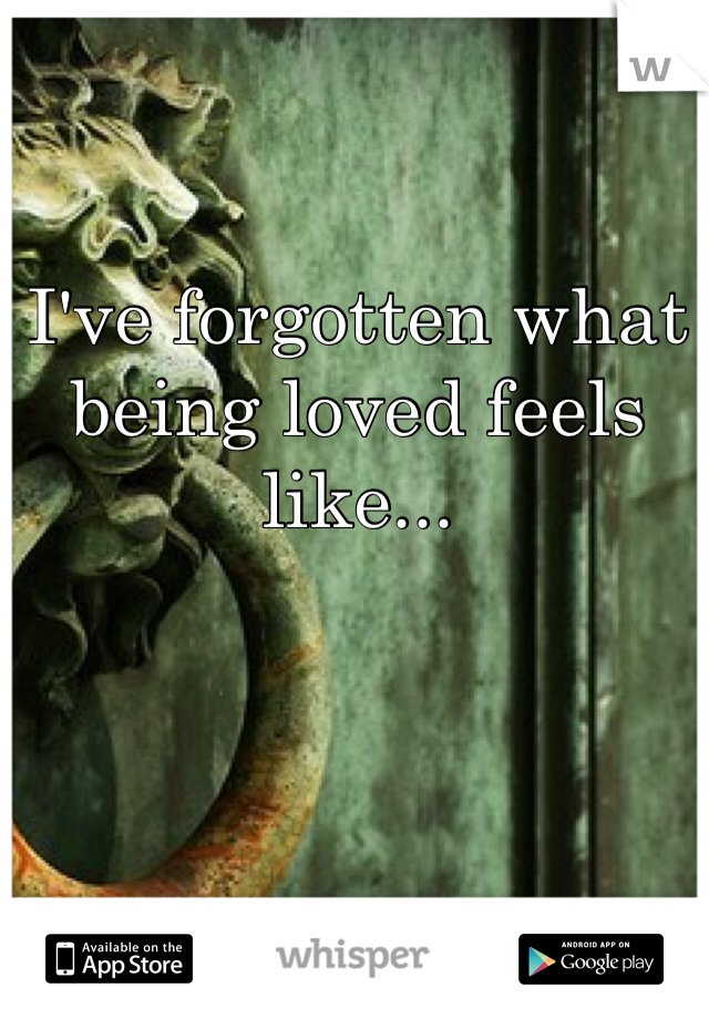 I've forgotten what being loved feels like...