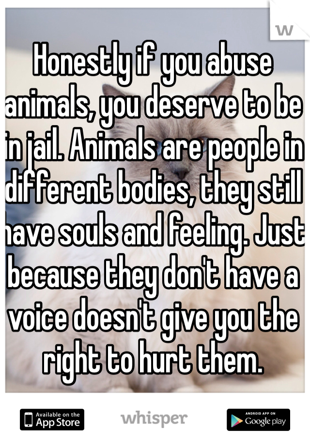 Honestly if you abuse animals, you deserve to be in jail. Animals are people in different bodies, they still have souls and feeling. Just because they don't have a voice doesn't give you the right to hurt them.