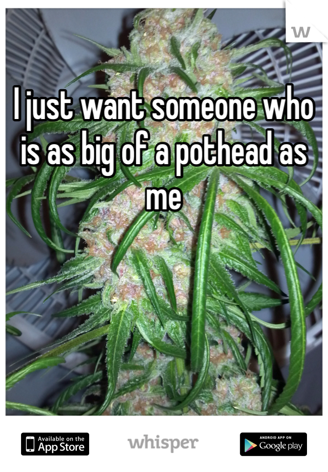 I just want someone who is as big of a pothead as me