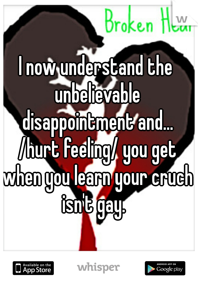 I now understand the unbelievable disappointment and... /hurt feeling/ you get when you learn your cruch isn't gay.  