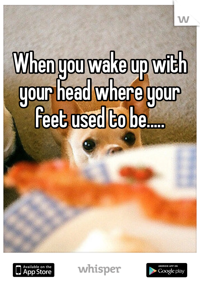 When you wake up with your head where your feet used to be.....