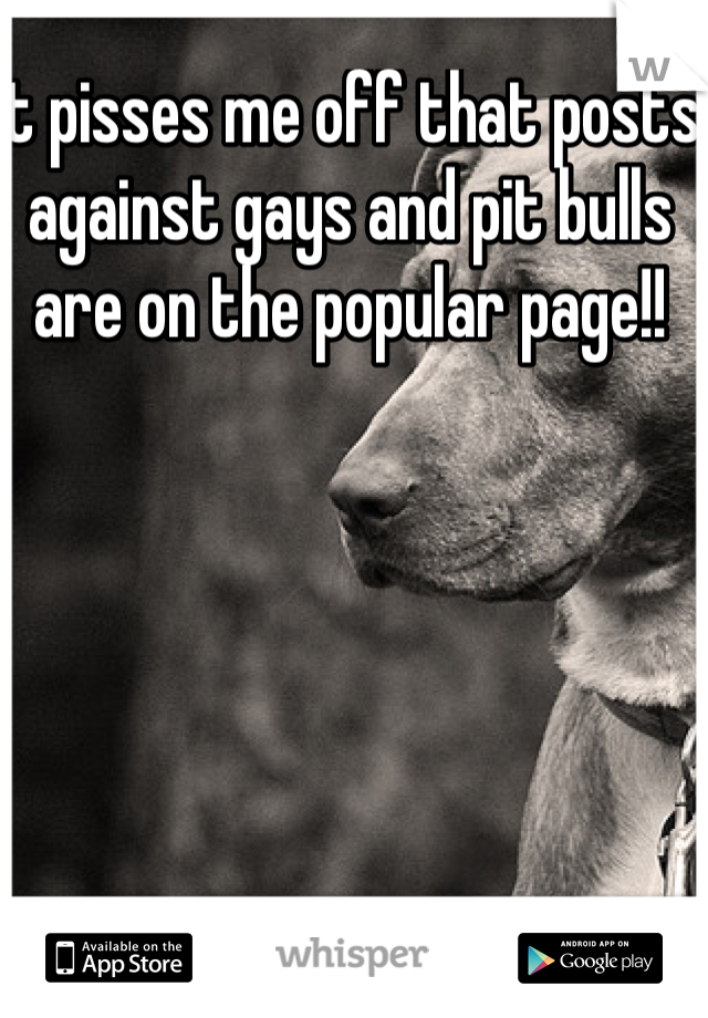 It pisses me off that posts against gays and pit bulls are on the popular page!!