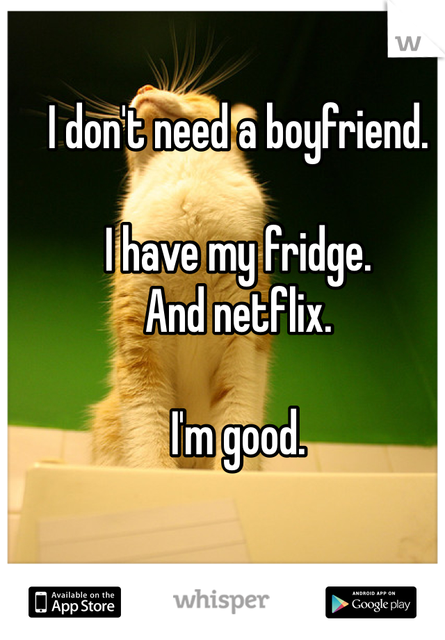 I don't need a boyfriend. 

I have my fridge. 
And netflix. 

I'm good. 