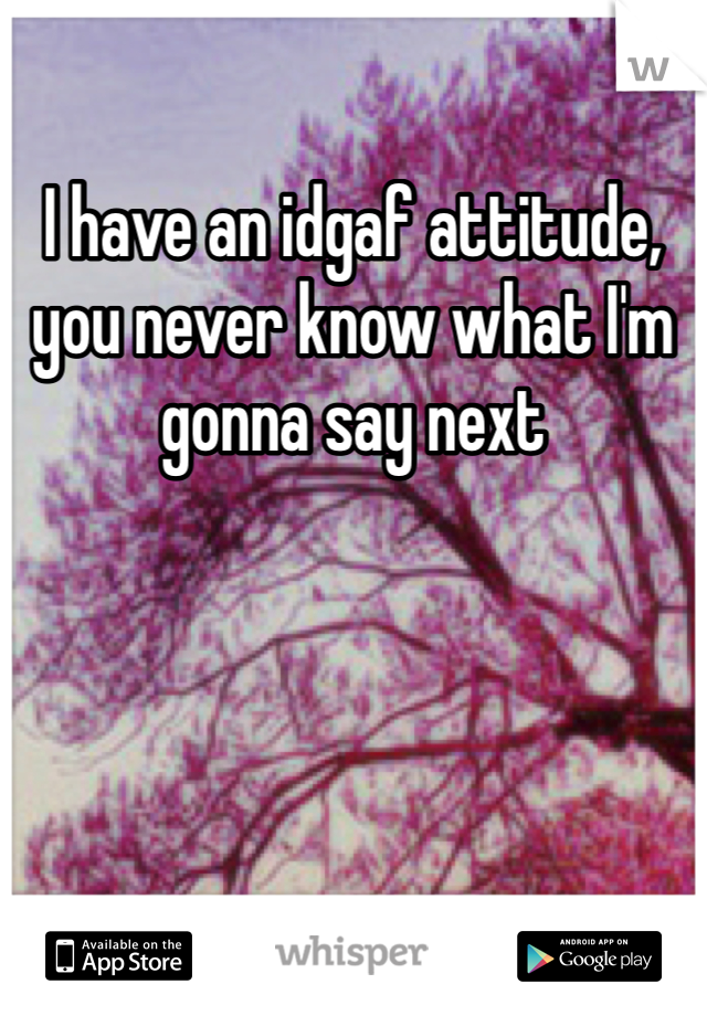 I have an idgaf attitude, you never know what I'm gonna say next