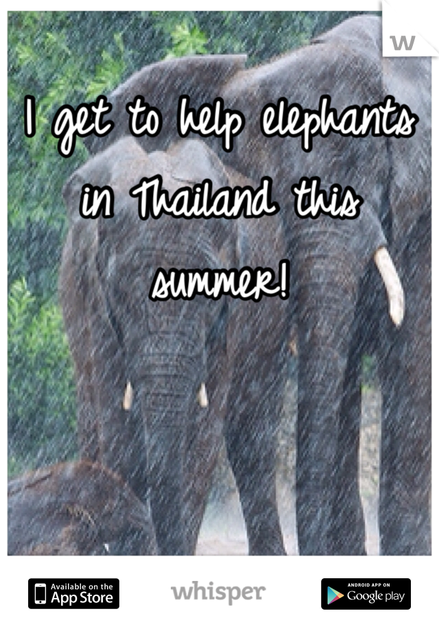 I get to help elephants in Thailand this summer!