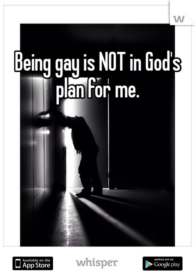 Being gay is NOT in God's plan for me. 