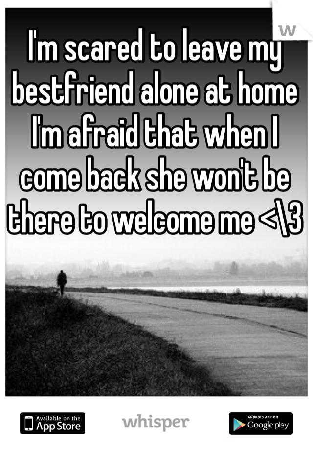 I'm scared to leave my bestfriend alone at home I'm afraid that when I come back she won't be there to welcome me <\3