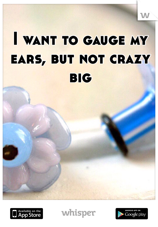 I want to gauge my ears, but not crazy big 