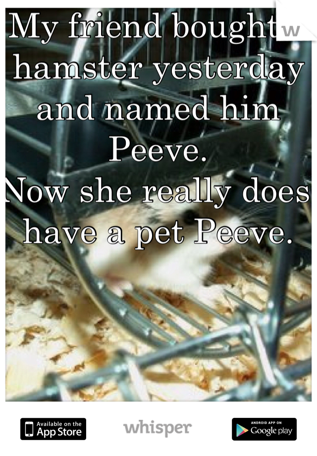 My friend bought a hamster yesterday and named him Peeve.
Now she really does have a pet Peeve.