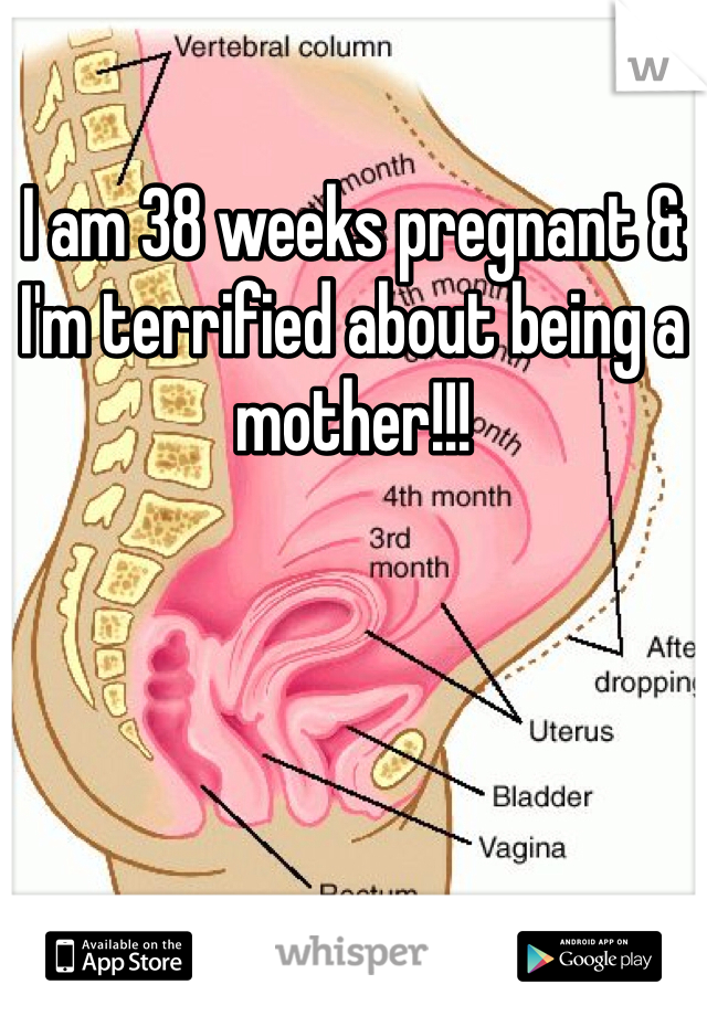 I am 38 weeks pregnant & I'm terrified about being a mother!!! 