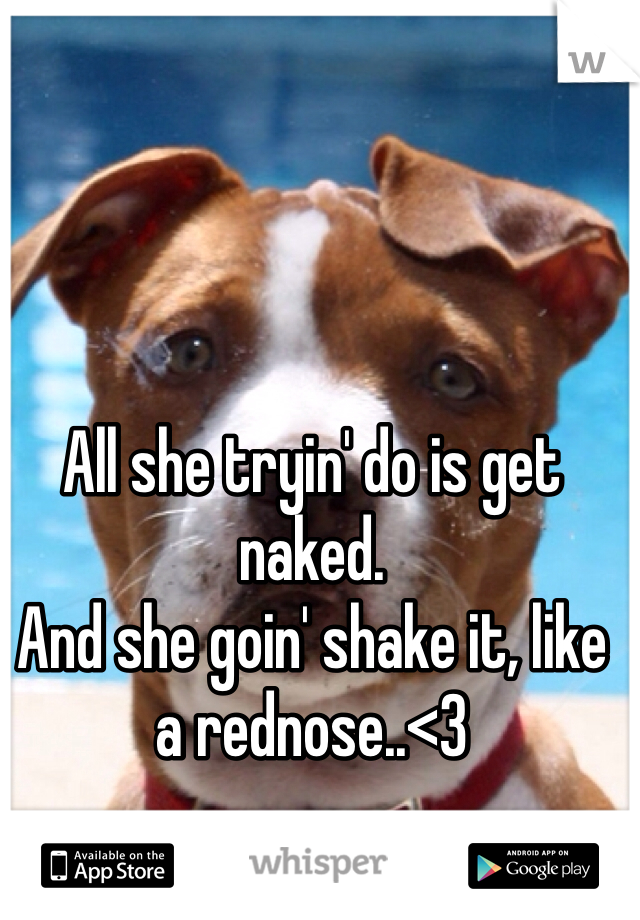 All she tryin' do is get naked. 
And she goin' shake it, like a rednose..<3