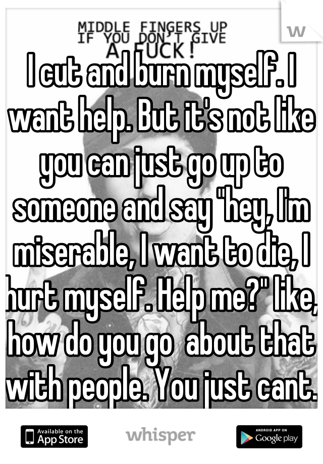 I cut and burn myself. I want help. But it's not like you can just go up to someone and say "hey, I'm miserable, I want to die, I hurt myself. Help me?" like, how do you go  about that with people. You just cant.