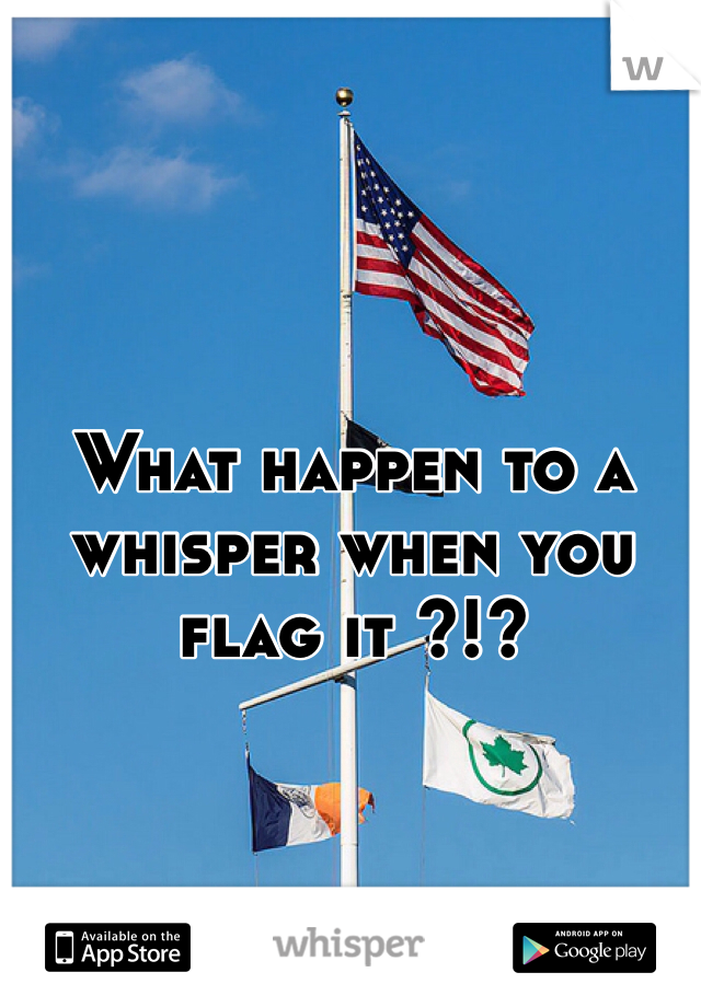 What happen to a whisper when you flag it ?!? 