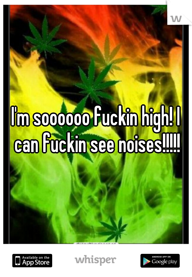 I'm soooooo fuckin high! I can fuckin see noises!!!!!