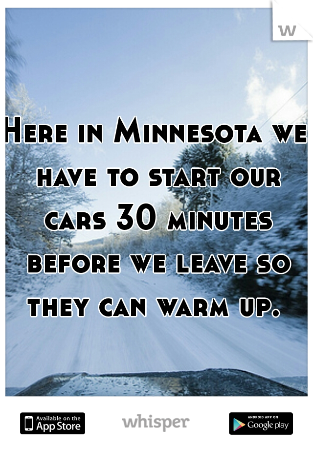 Here in Minnesota we have to start our cars 30 minutes before we leave so they can warm up. 