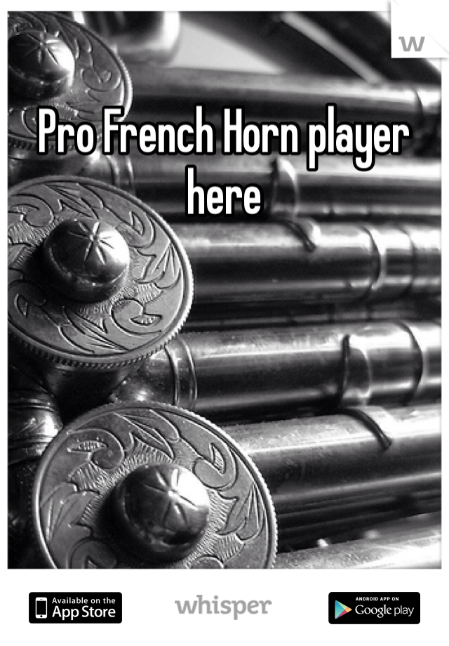 Pro French Horn player here