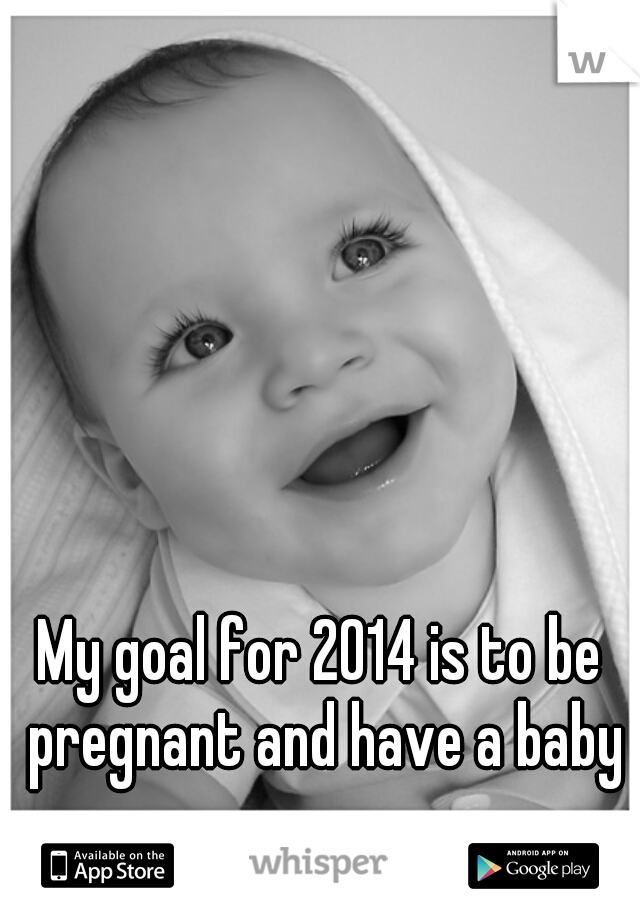 My goal for 2014 is to be pregnant and have a baby