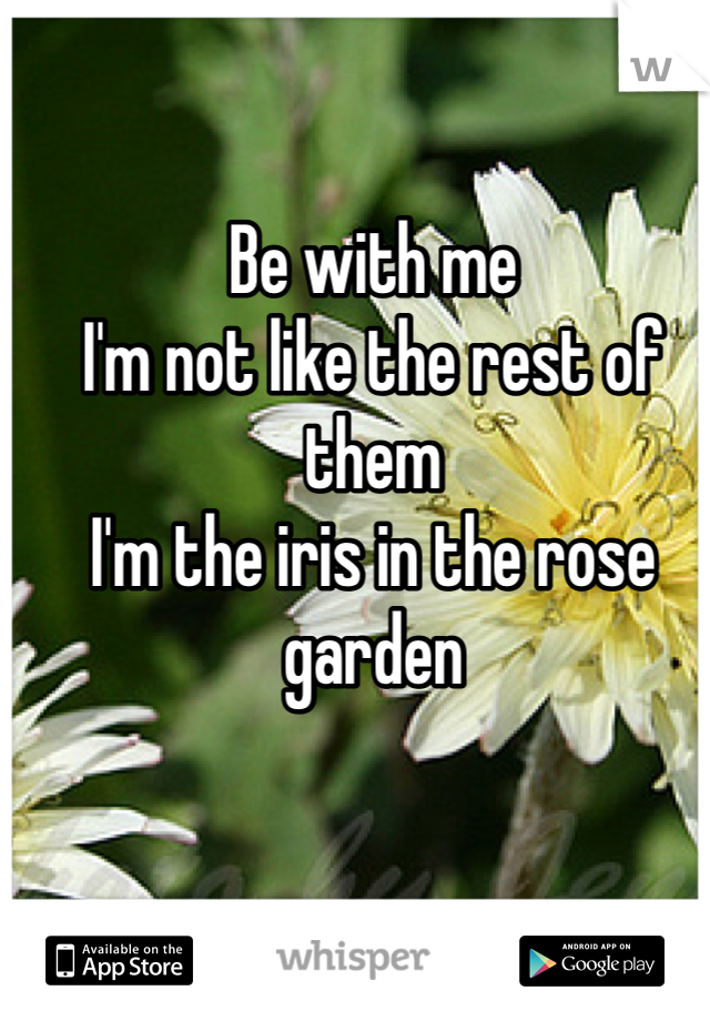 Be with me 
I'm not like the rest of them 
I'm the iris in the rose garden 