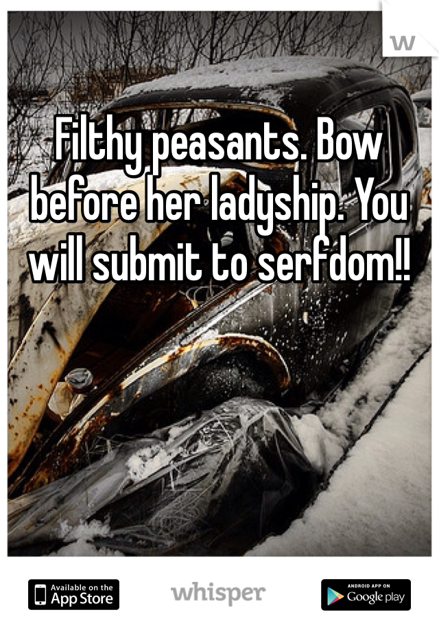 Filthy peasants. Bow before her ladyship. You will submit to serfdom!!