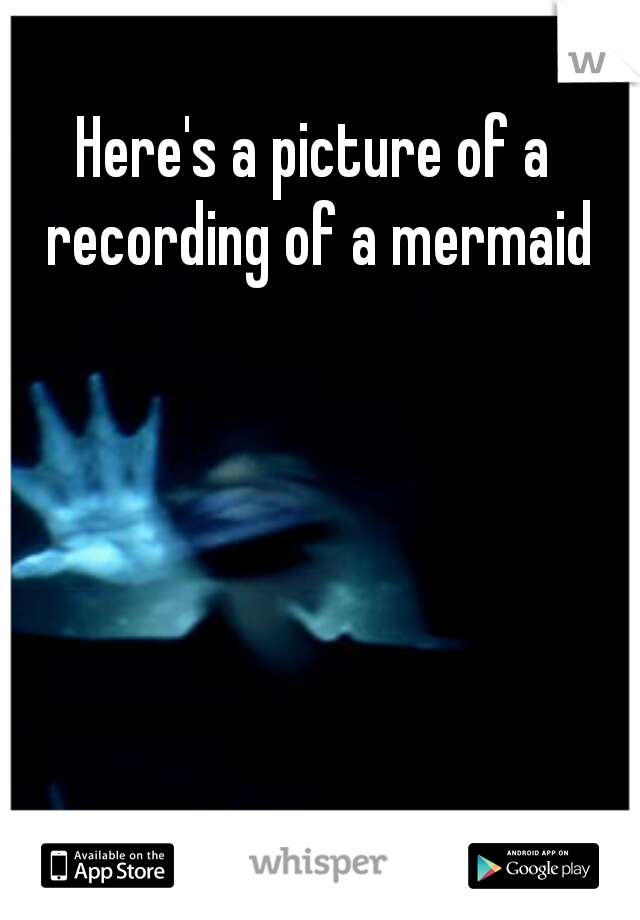 Here's a picture of a recording of a mermaid