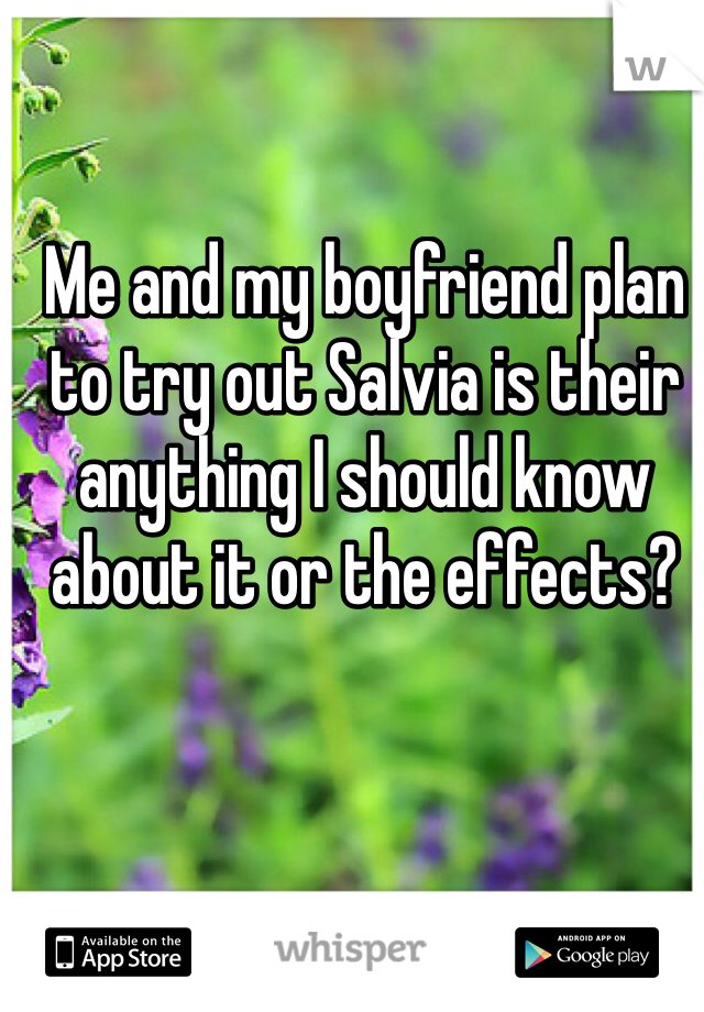 Me and my boyfriend plan to try out Salvia is their anything I should know about it or the effects?