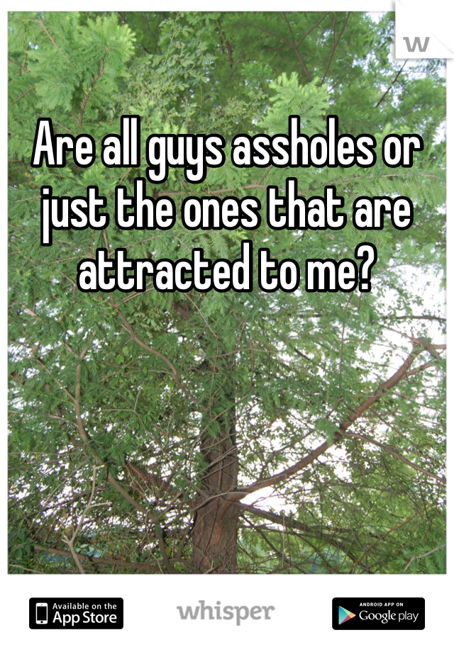 Are all guys assholes or just the ones that are attracted to me? 