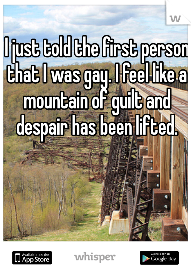 I just told the first person that I was gay. I feel like a mountain of guilt and despair has been lifted.