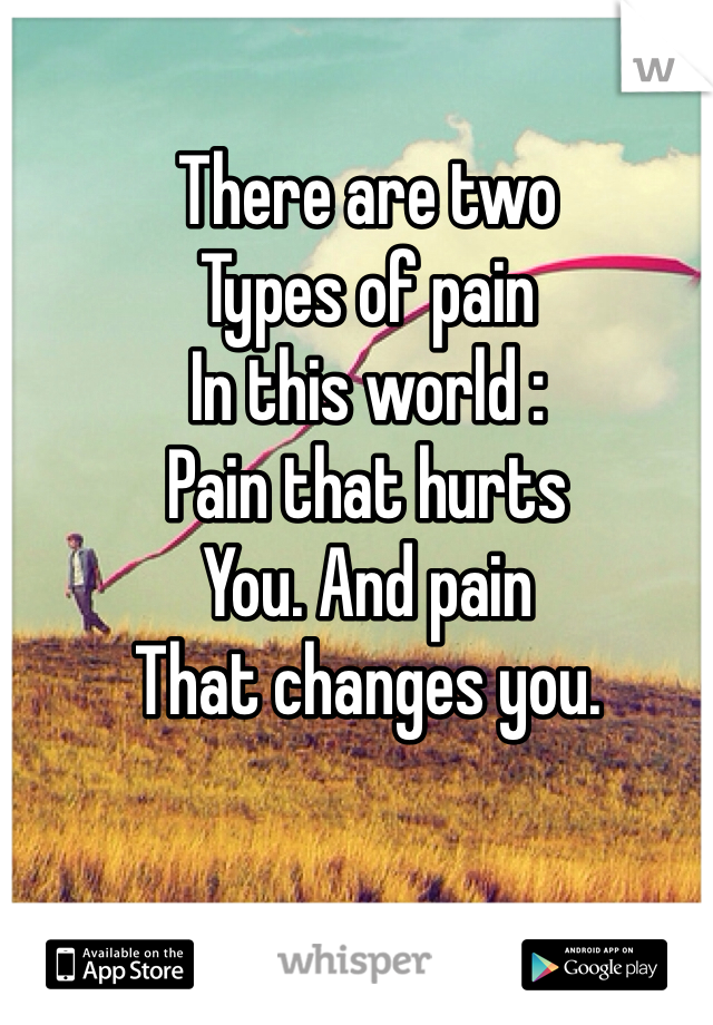 There are two
Types of pain
In this world :
Pain that hurts
You. And pain
That changes you. 