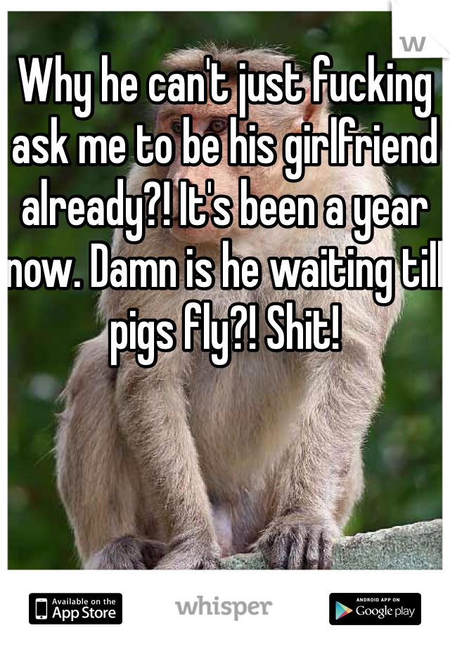 Why he can't just fucking ask me to be his girlfriend already?! It's been a year now. Damn is he waiting till pigs fly?! Shit!