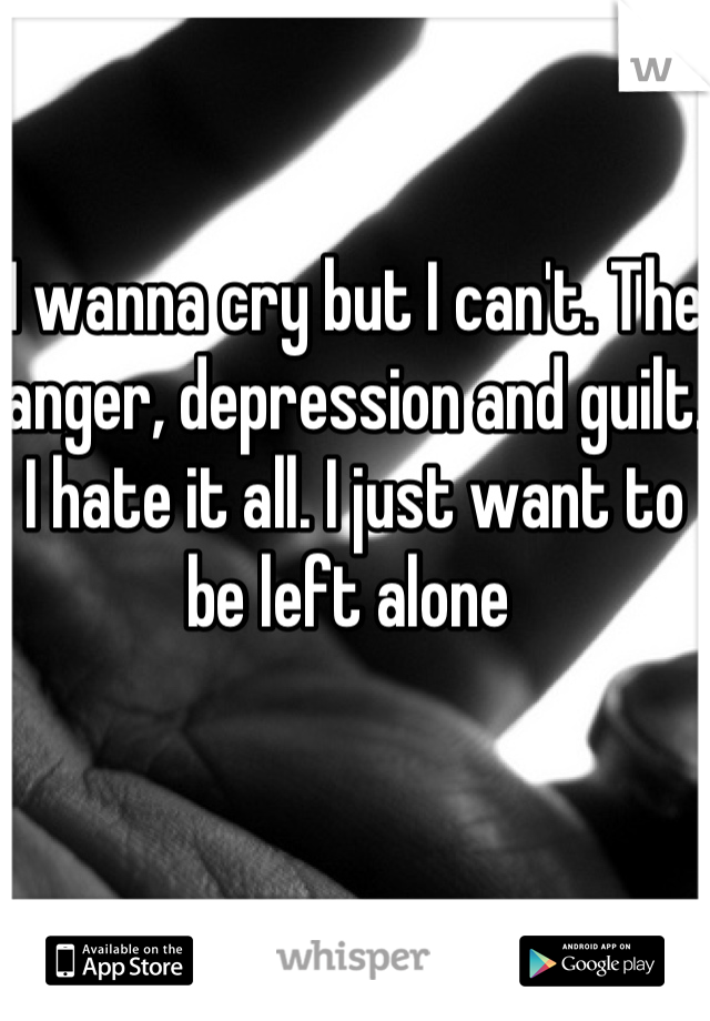 I wanna cry but I can't. The anger, depression and guilt. I hate it all. I just want to be left alone 