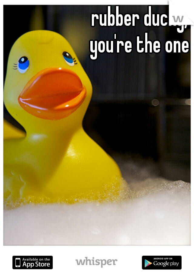 rubber ducky, 
you're the one 