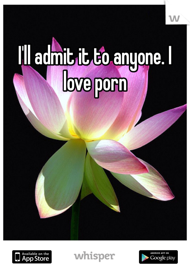 I'll admit it to anyone. I love porn