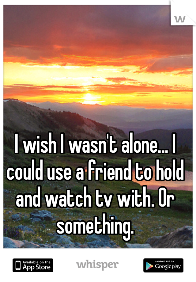 I wish I wasn't alone... I could use a friend to hold and watch tv with. Or something. 