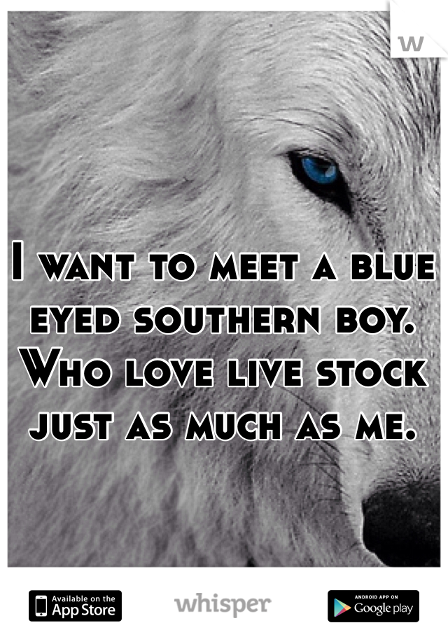 I want to meet a blue eyed southern boy. Who love live stock just as much as me. 