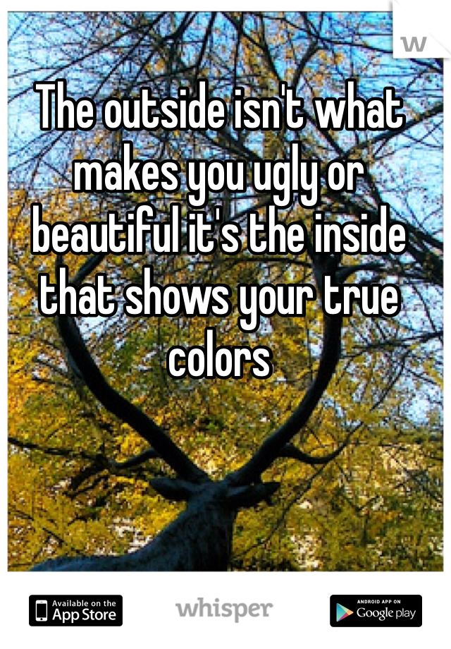 The outside isn't what makes you ugly or beautiful it's the inside that shows your true colors 