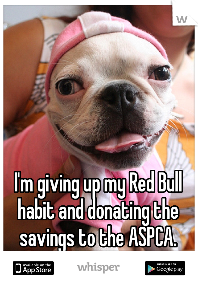 I'm giving up my Red Bull habit and donating the savings to the ASPCA. 