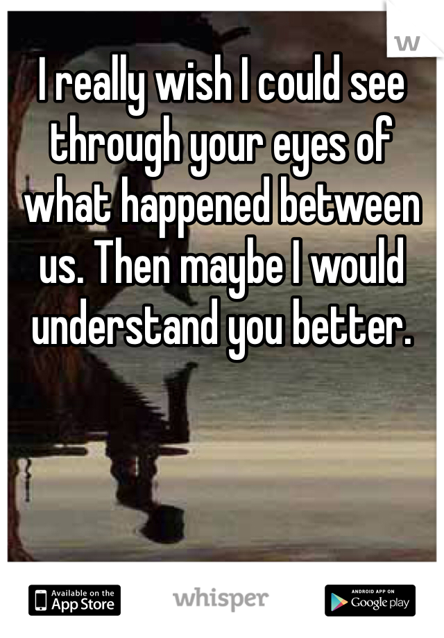 I really wish I could see through your eyes of what happened between us. Then maybe I would understand you better. 