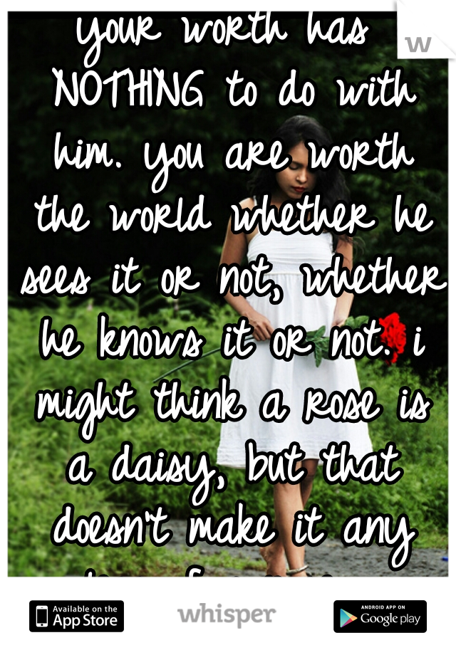 your worth has NOTHING to do with him. you are worth the world whether he sees it or not, whether he knows it or not. i might think a rose is a daisy, but that doesn't make it any less of a rose  