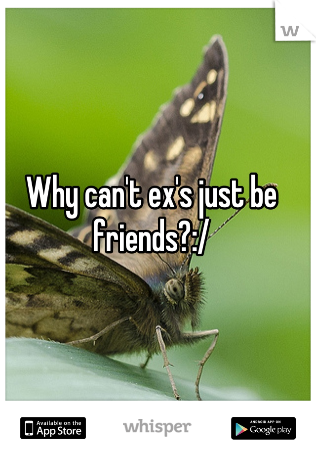 Why can't ex's just be friends?:/