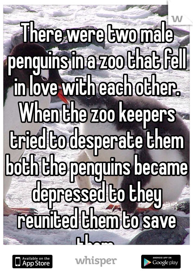 There were two male penguins in a zoo that fell in love with each other. When the zoo keepers tried to desperate them both the penguins became depressed to they reunited them to save them. 