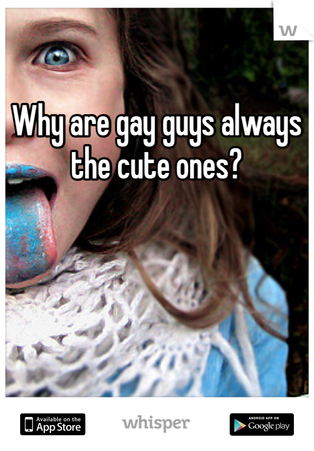 Why are gay guys always the cute ones?