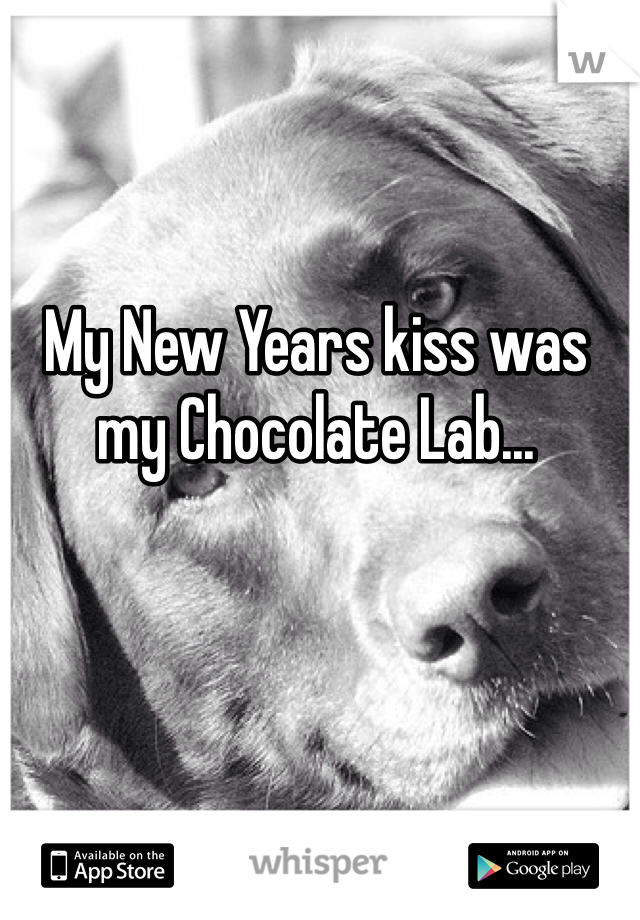 My New Years kiss was my Chocolate Lab... 