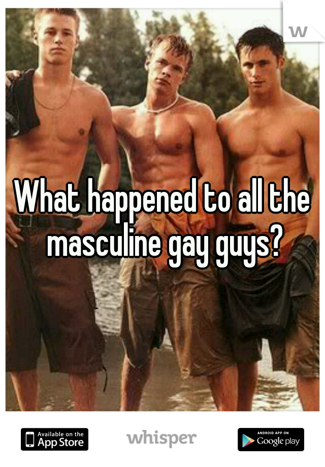 What happened to all the masculine gay guys?