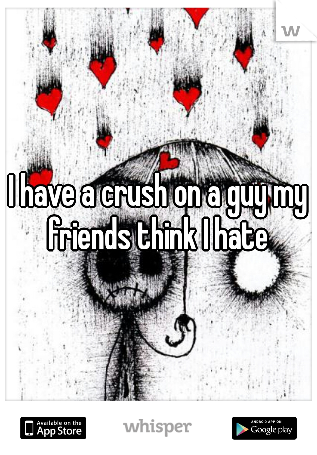 I have a crush on a guy my friends think I hate 